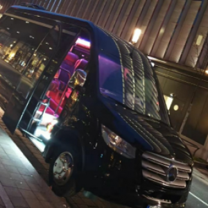 Mercedes-Benz Sprinter 16+1 665 